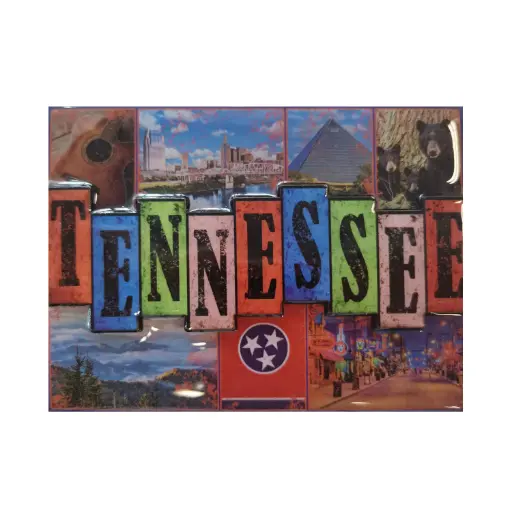 [T6552] Tennessee Magnet - Photos Laser 3D